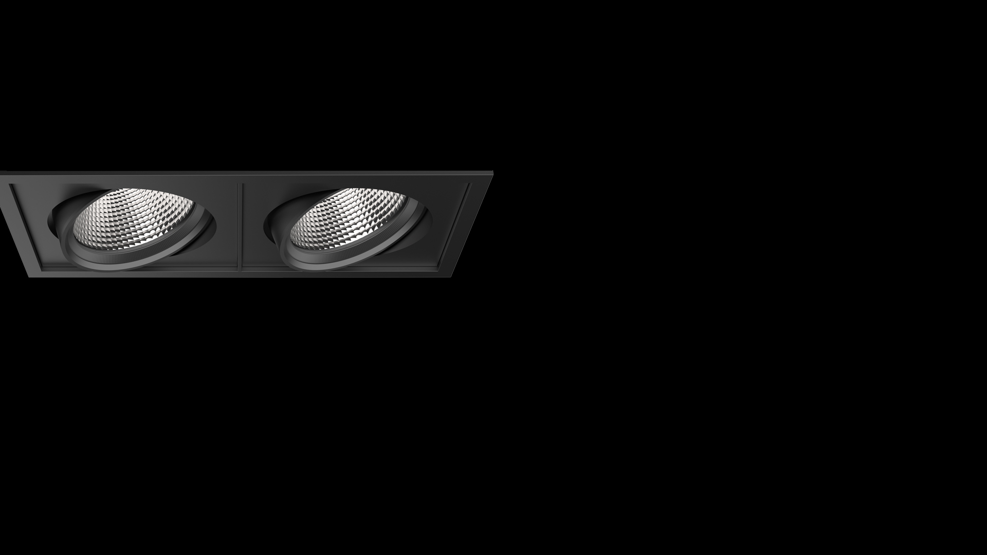 PARKER ADJUSTABLE DOWNLIGHT in situ