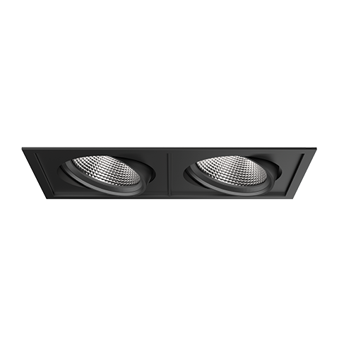 PARKER ADJUSTABLE DOWNLIGHT
