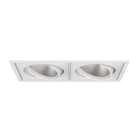 PARKER ADJUSTABLE DOWNLIGHT