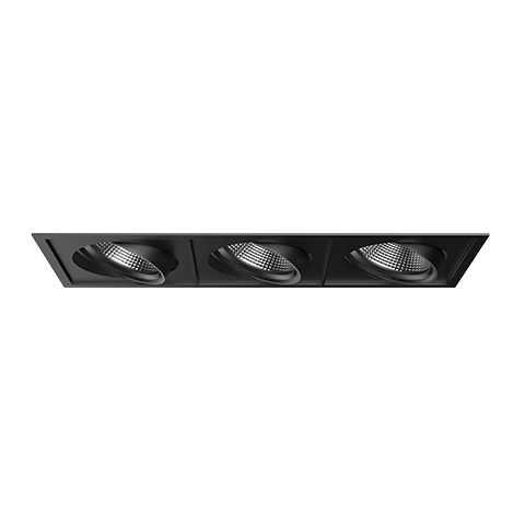 PARKER ADJUSTABLE DOWNLIGHT