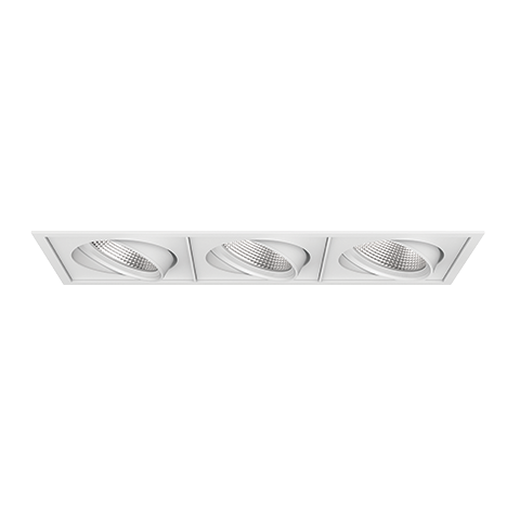 PARKER ADJUSTABLE DOWNLIGHT