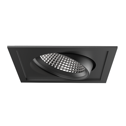 PARKER ADJUSTABLE DOWNLIGHT