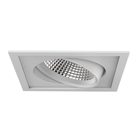 PARKER ADJUSTABLE DOWNLIGHT