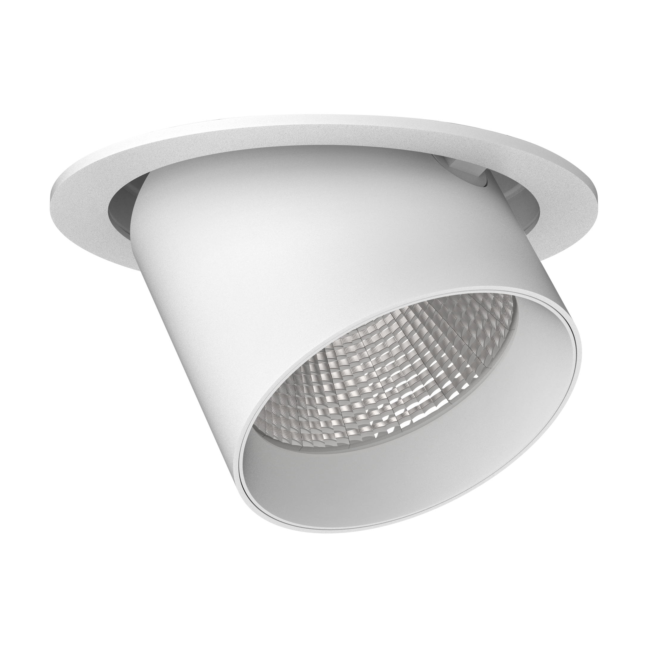 OCTOPUS ADJUSTABLE DOWNLIGHT