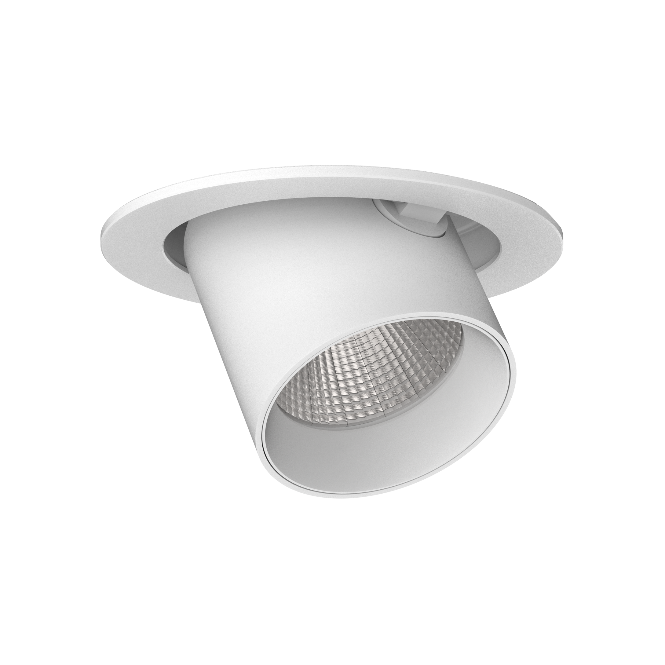 OCTOPUS ADJUSTABLE DOWNLIGHT