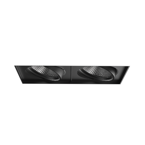 PARKER ADJUSTABLE TRIMLESS DOWNLIGHT
