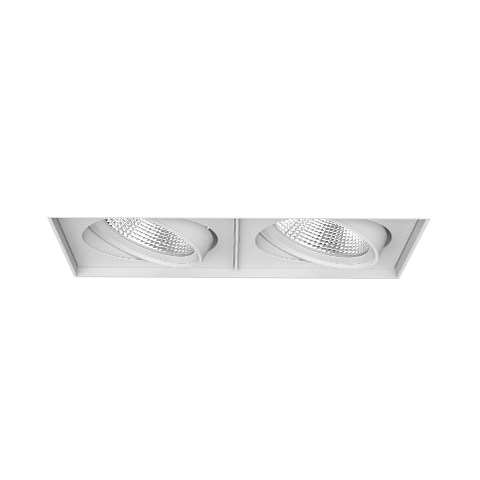 PARKER ADJUSTABLE TRIMLESS DOWNLIGHT