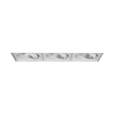 PARKER ADJUSTABLE TRIMLESS DOWNLIGHT