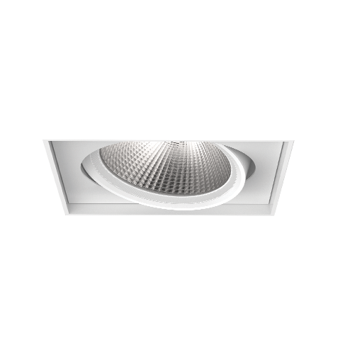 PARKER ADJUSTABLE TRIMLESS DOWNLIGHT