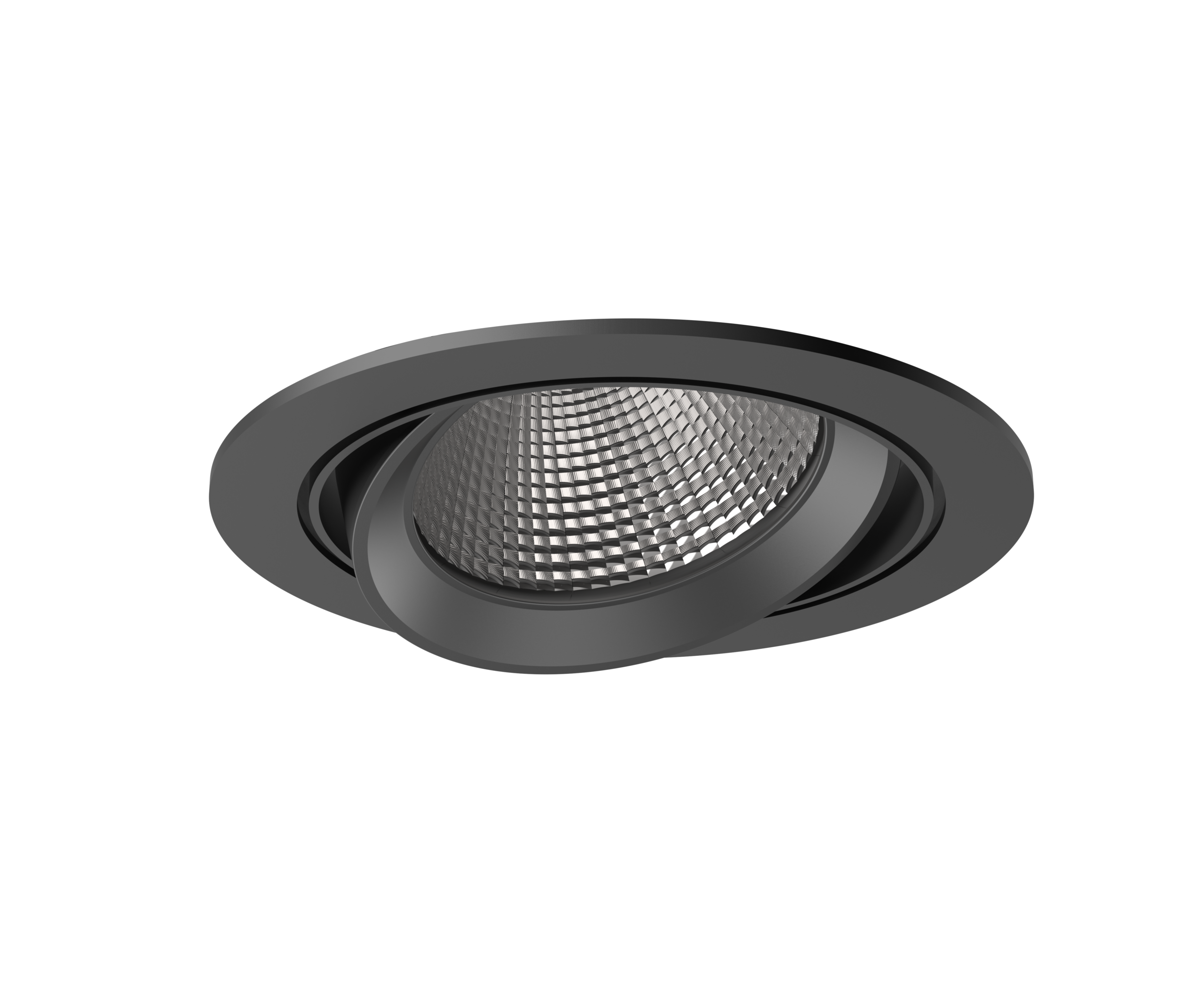 LEGEND ADJUSTABLE DOWNLIGHT