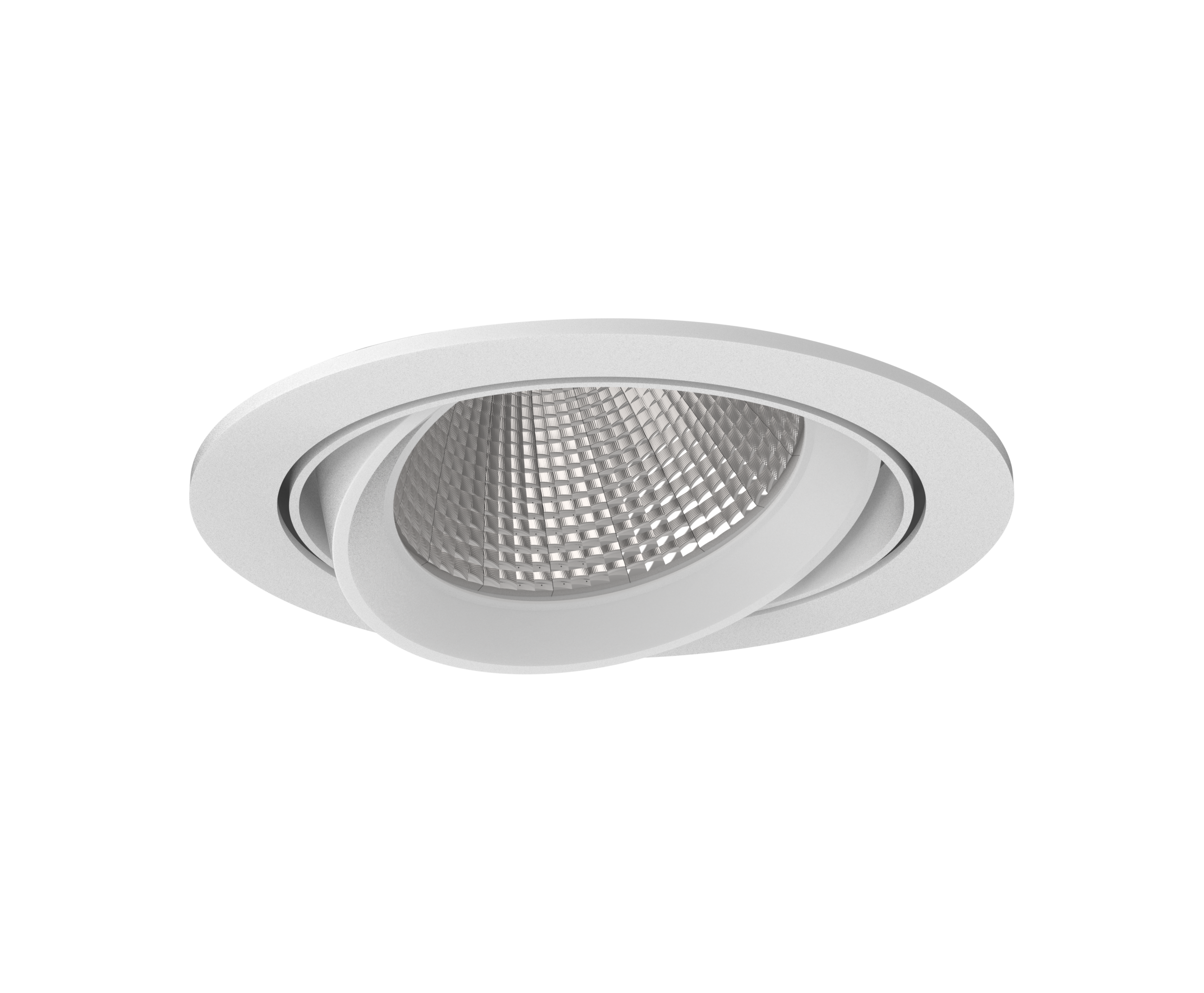 LEGEND ADJUSTABLE DOWNLIGHT