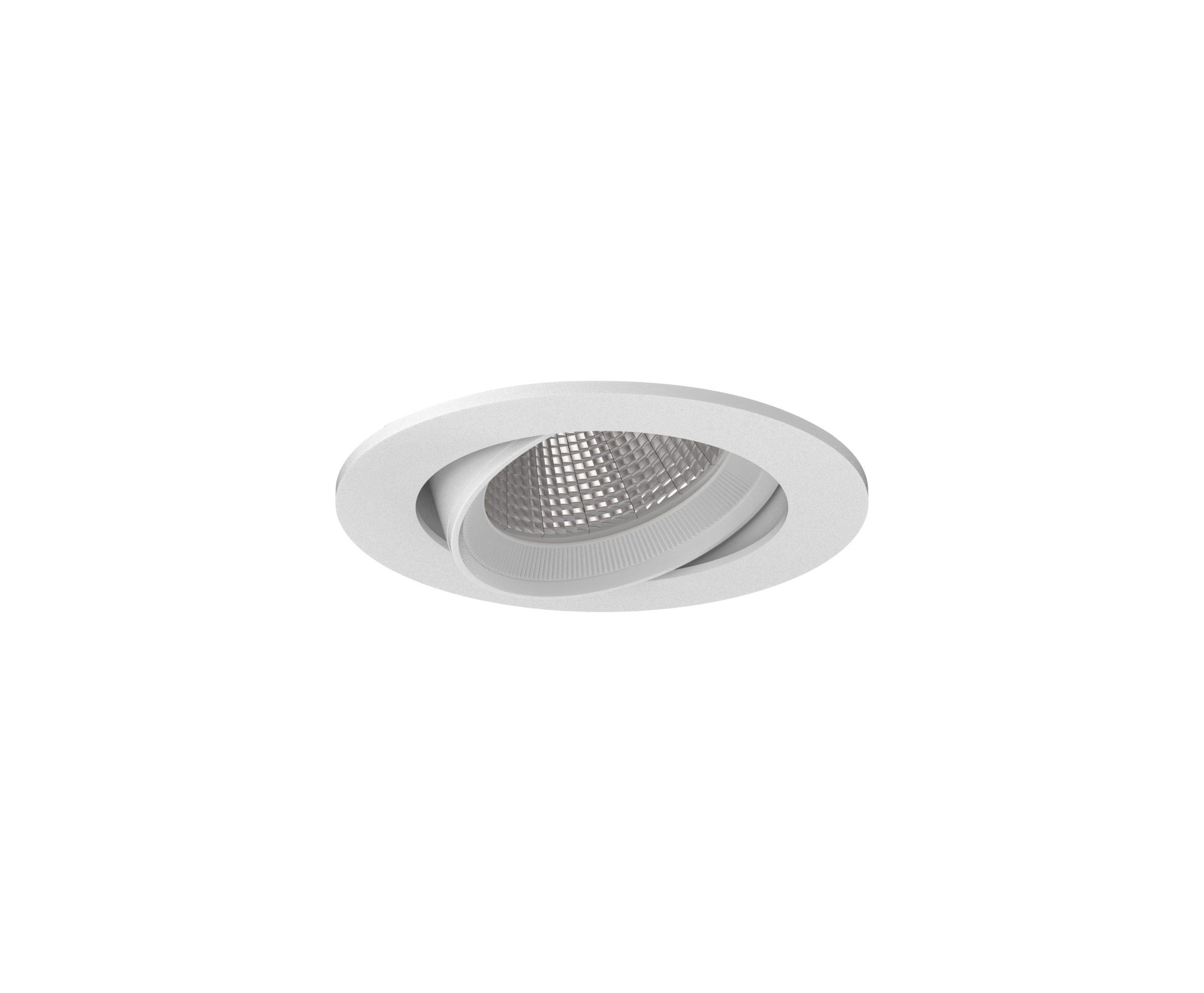LEGEND ADJUSTABLE DOWNLIGHT